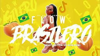 FLOW BRASILERO 🥵 Mas Lentito Vs BumBum  El Aleex Deejay [upl. by Artemahs]