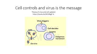 Lysogeny is Bacteriophage Endogenisation [upl. by Oramug]