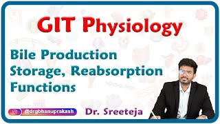 Physiology of Bile  Production Storage Reabsorption Functions  GIT Physiology USMLE Step 1 [upl. by Nycila]