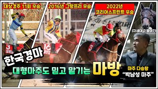 경마이야기 서울경마 조교사 랭킹3위 40조 마방을 책임지는 quot송문길 조교사quot 아직 10년 더 남았다박수홍경마경마이야기 [upl. by Winona]