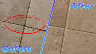 The Best Way to Clean Shower Grout Mould and Mildew [upl. by Cary]