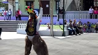 Danza tipica en la mitad del mundo quotEl Diablo Humaquot [upl. by Andria]