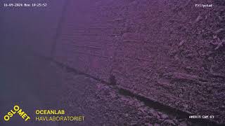 Live streaming OsloMet Oceanlab ANERIS low cost underwater camera observatory  Filipstad [upl. by Bromley587]