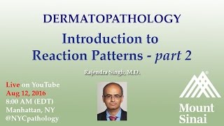 Dermatopathology Introduction to Reaction Patterns  Part 2 w Dr Singh [upl. by Atilemrac841]