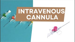 Intravenous cannula  Radiotherapy Edutech  Common terms in Oncology [upl. by Ellemac]