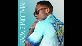 Dj Tira amp Xowla Feat Lwah Ndlunkulu  Cela Skhulume Official Audio [upl. by Arnie]