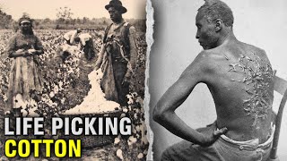 The DISTURBING Life Of A Slave On A Cotton Plantation [upl. by Pompei]