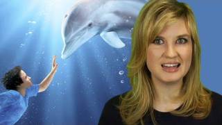 Dolphin Tale 3D Movie Review Beyond The Trailer [upl. by Nyram]