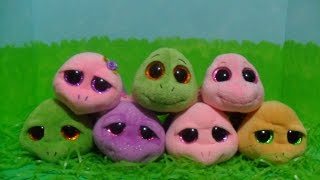 Ty Beanie Boos TURTLES [upl. by Goar905]