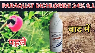 24 तासात सर्व गवत जळुन खाकParaquat dichloride 24SL  तणनाशक मराठी  समृद्ध शेती  samrudh sheti [upl. by Herrick828]