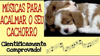 8h de músicas para acalmar cachorros CIENTIFICAMENTE COMPROVADO [upl. by Madelena]