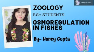 Osmoregulation in Fishes  BSc PART 1 SEMESTER 2  Detailed Explanation IN HINDI [upl. by Ninel]