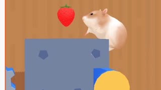 hamster maze game part 25  gameplay android [upl. by Anyek263]