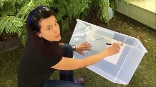 DIY The Best Litter Box [upl. by Ellainad311]