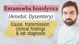 Lec3  Entamoeba histolytica  Transmission  Life cycle  Pathogenesis  Lab diagnosis UrduHindi [upl. by Adlitam109]