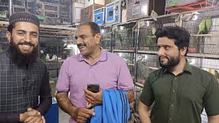 Tour Multan Birds Market Mushtaq Bhai ke shop pr [upl. by Akirdnwahs269]