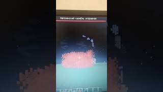 Flask with Acid Cloud Minecraft Java [upl. by Tanah80]