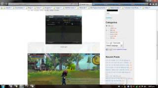 Tutorial RaiderZ Custom Crosshair [upl. by Franni68]