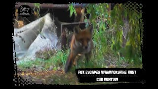 Fox escapes Warwickshire Hunt cub hunting [upl. by Assirehc87]