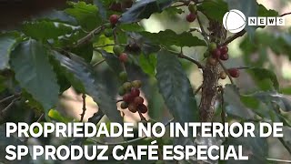 Produtores apostam em café especial para exportação [upl. by Ahseram]