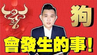 2021年  十二生肖运势  属狗的影響不容小覷  大家必須要小心  刑太岁 [upl. by Woll]