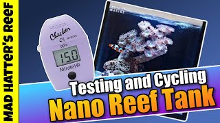 Nano Reef Tank Build Testing and Cycling [upl. by Lurette]