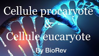 Cellule procaryote Vs cellule eucaryote [upl. by Mcguire582]