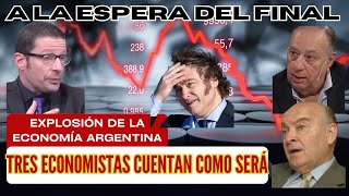 Así explotará la economía argentina Tres economistas cuentan como será milei dolar economia [upl. by Itsyrc]