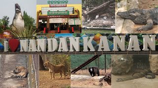 Indias 2nd largest Zoo  Nandankanan Zoological Park Bhubaneswar  Nandankanan Zoo full tour [upl. by Llenram]