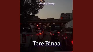 Tere Binaa [upl. by Field]