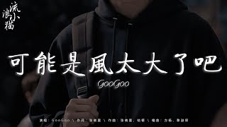 可能是風太大了吧 GooGoo，時光洪流，最孤獨的事，你將我推開，最後一頁，32度的晚風，我走後，翠花，走火【流行歌曲2024】2024抖音新歌 抖音神曲2024 2024流行歌曲 2024抖音熱歌 [upl. by Venator565]