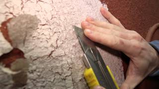 How to make flaking paint faux finish 171 [upl. by Sirap]