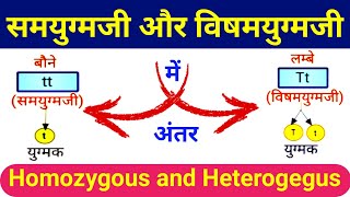 समयुग्मजी और विषमयुग्मजी में अंतर  Homozygous and Heterozygous differences  Biology ScienceSK [upl. by Dublin]