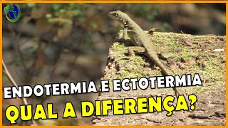 Qual a DIFERENÇA entre animais ECTOTERMICOS e ENDOTERMICOS [upl. by Ardni]