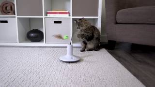 Petlinks® Pure Commotion™ electronic cat toy [upl. by Paolo]