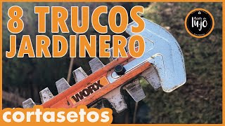 CORTAR SETOS LOS MEJORES TRUCOS DE JARDINERO VICTORIANO CURSO de JARDINERIA con Recicleitor [upl. by Arand]