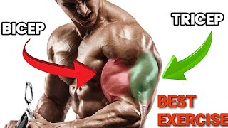 Best Bicep And Tricep Exercises To Build Big Hand Muscle  Bicep And Tricep Workout [upl. by Kobi]