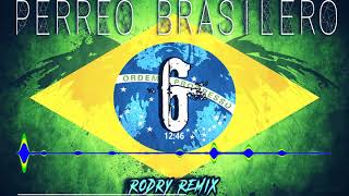 Perreo Brasilero 6 Rodry Remix 25K 2018 [upl. by Sharl]