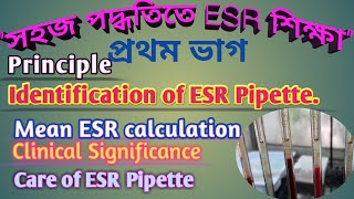 ESR test কি কেন ESR Test কেন করা হয়  ESR test normal range ESR Blood Test In Bengali ESR Test [upl. by Love96]