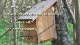 A guide to putting up a dormouse box [upl. by Anirdna232]