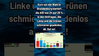 AfD Abstand shorts shortsfeed shortvideo afd politik deutsch foryou fyp brandenburg 4u [upl. by Irol]