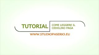 Tutorial  Come Leggere il Cedolino Paga [upl. by Larrad]