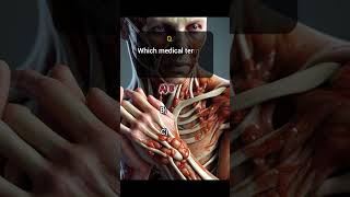 Anatomy part 84 humananatomy biology pubquiz quizblitz pubentertainment facts virtualpubquiz [upl. by Alitta806]