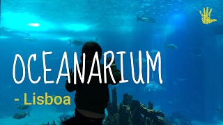 Oceanarium in Lisbon what to expect [upl. by Berni]