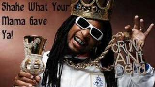 Lil Jon  Shake What Your Mama Gave Ya [upl. by Anaerb]