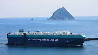 1130630 華倫威爾森WALLENIUS WILHELMSEN台汎輪TAIPAN進出基隆港 [upl. by Drugi413]