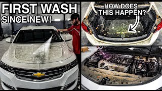 Cleaning The SMELLIEST Car Ever  First Wash Since New  Smokers Car Detailing Transformation [upl. by Kcirdez]