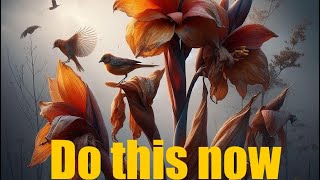 Winter Prep for Canna Lilies Easy amp Cheap plants garden [upl. by Aleetha548]