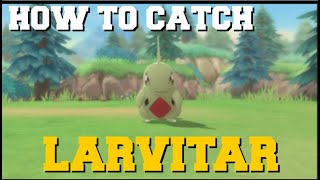 HOW TO CATCH LARVITAR IN POKEMON BRILLIANT DIAMOND AND SHINING PEARL LARVITAR LOCATION [upl. by Ardnekan777]