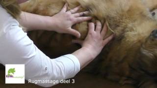 Hondenmassage  Rugmassage deel 3 [upl. by Rad927]